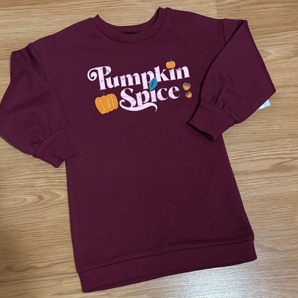 Pumpkin Spice Okie Dokie Toddler Girls Sweatshirt Dress